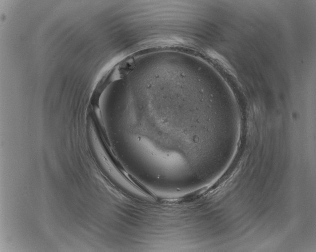 X0000068901226200605122051