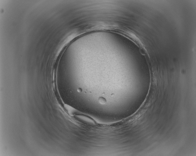 X0000068901227200605122051