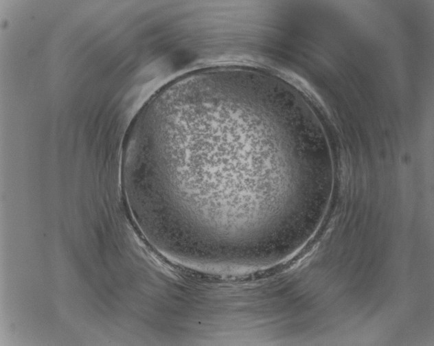 X0000068901228200605122051