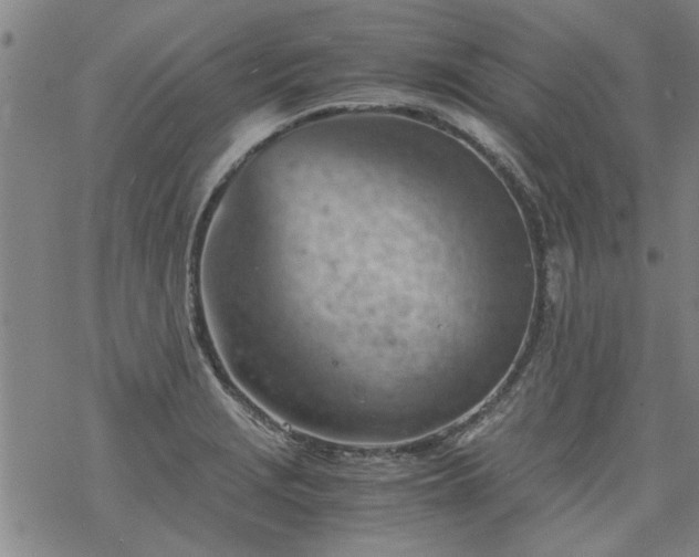 X0000068901229200605122051