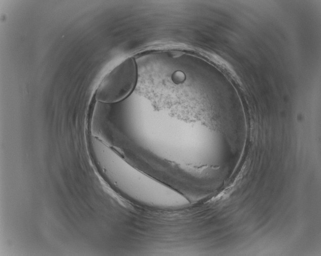 X0000068901231200605122052