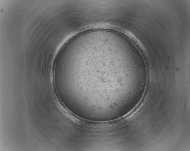 X0000068901232200605122052