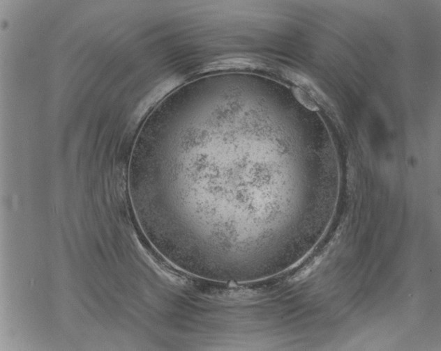 X0000068901233200605122052