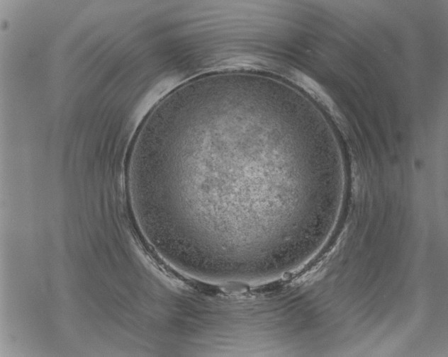 X0000068901234200605122052