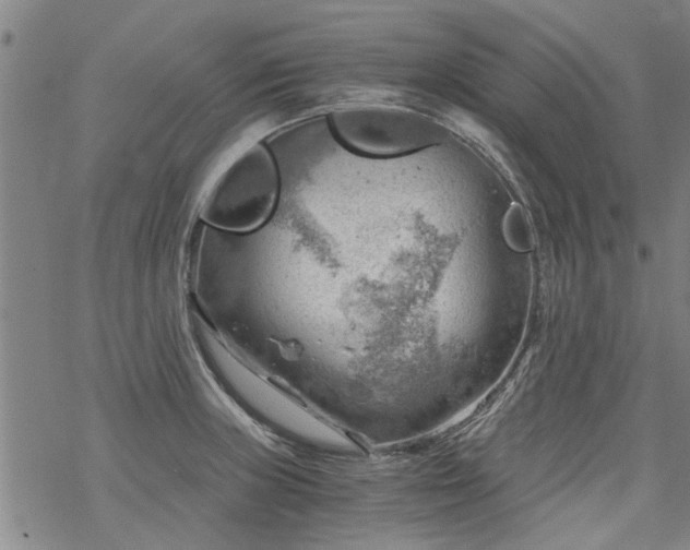 X0000068901235200605122052