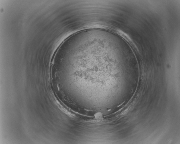 X0000068901236200605122052