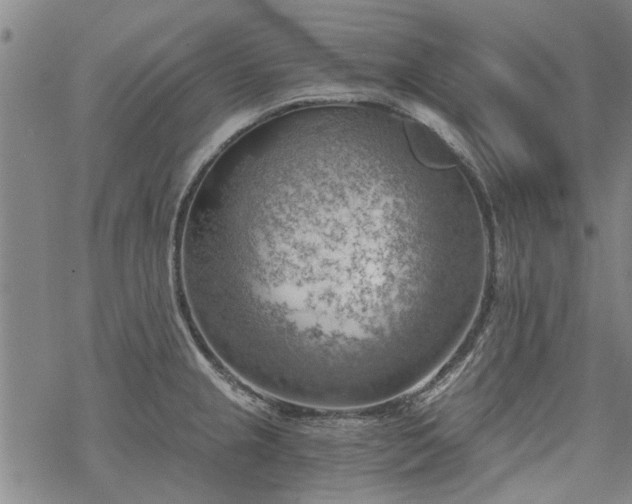 X0000068901237200605122052