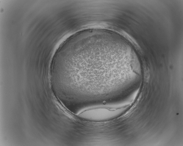 X0000068901240200605122052