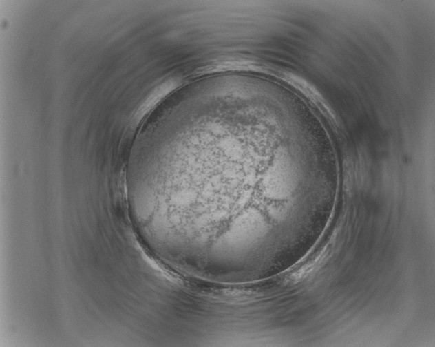 X0000068901241200605122052