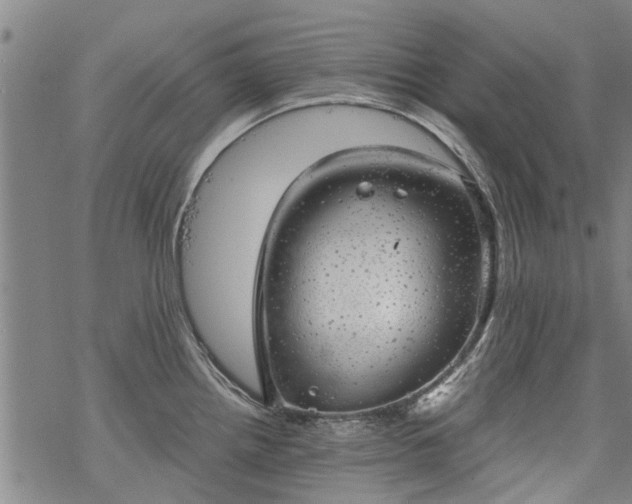 X0000068901242200605122052