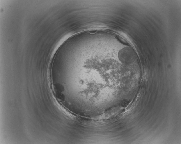 X0000068901243200605122052