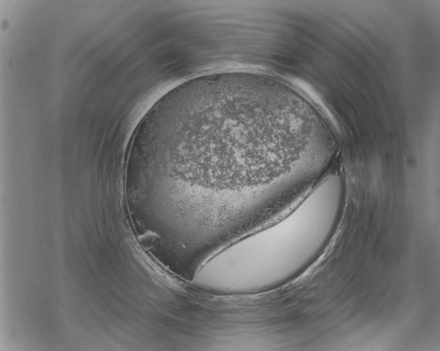 X0000068901244200605122052