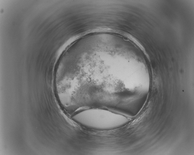 X0000068901245200605122052