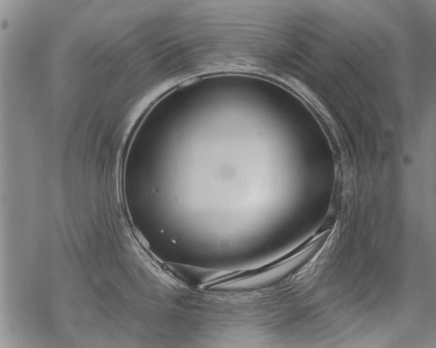 X0000068901246200605122052