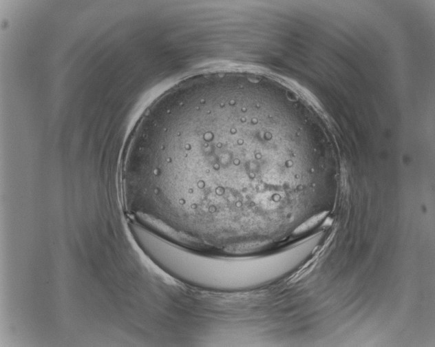 X0000068901247200605122052