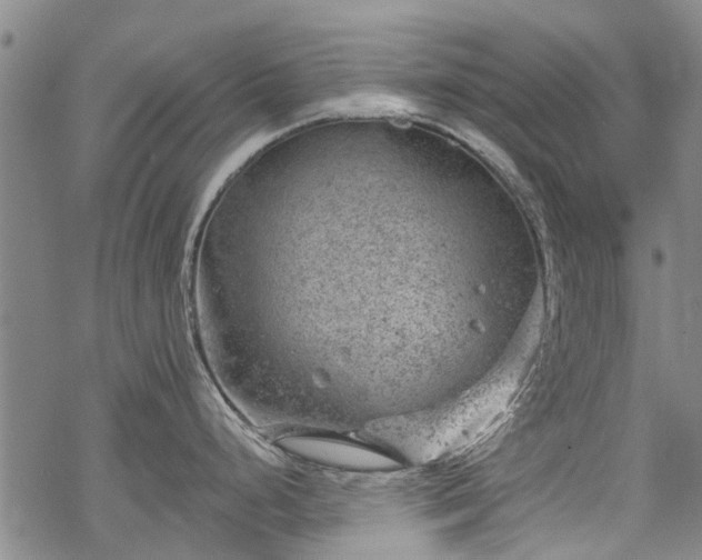 X0000068901248200605122052