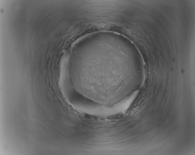 X0000068901249200605122051