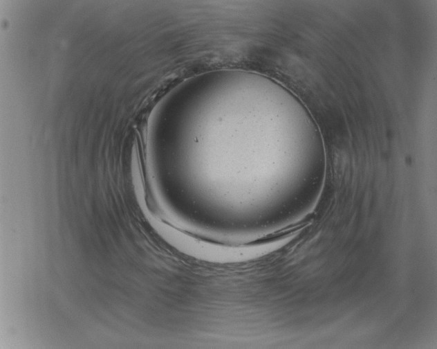 X0000068901250200605122051