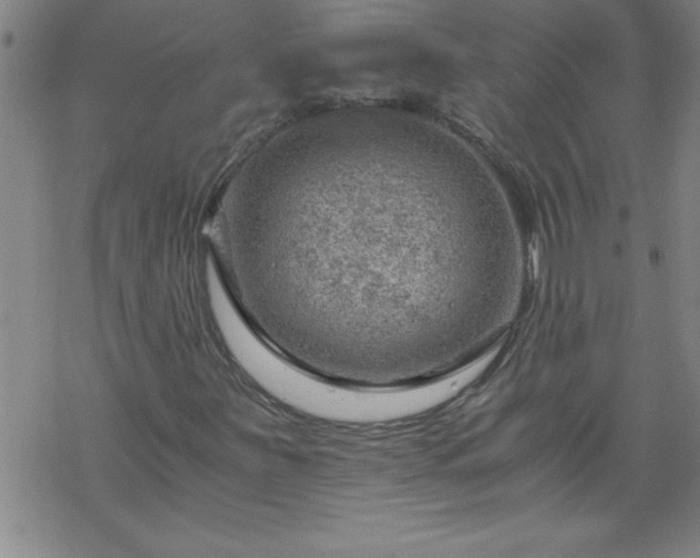 X0000068901251200605122051