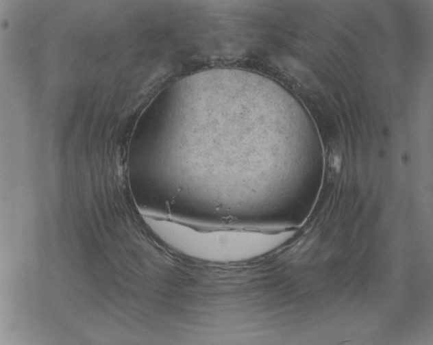 X0000068901252200605122051