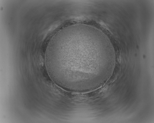 X0000068901253200605122051