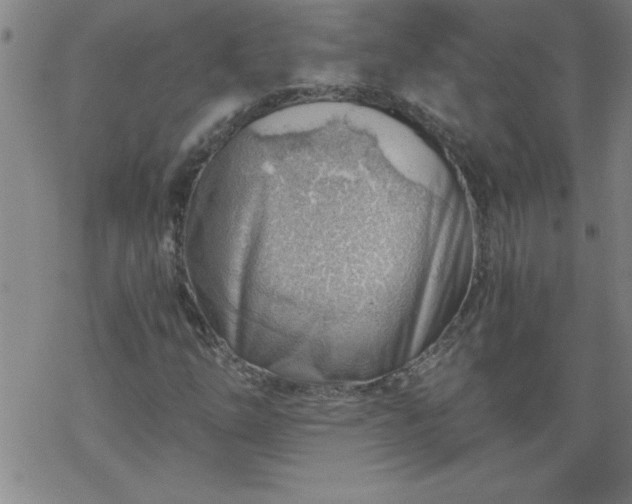 X0000068901254200605122051