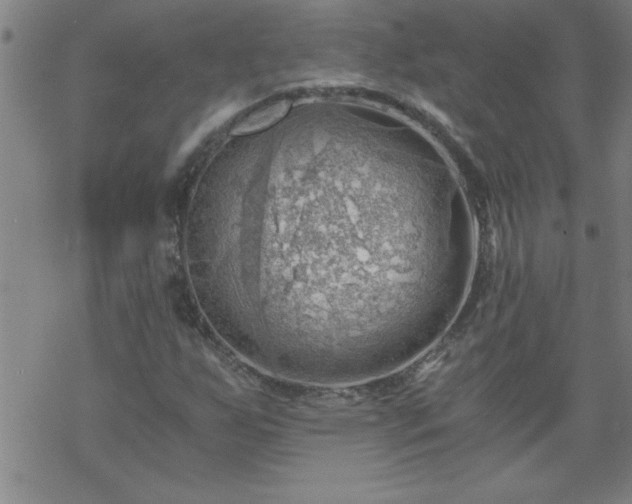 X0000068901255200605122051