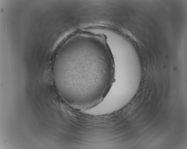 X0000068901256200605122051