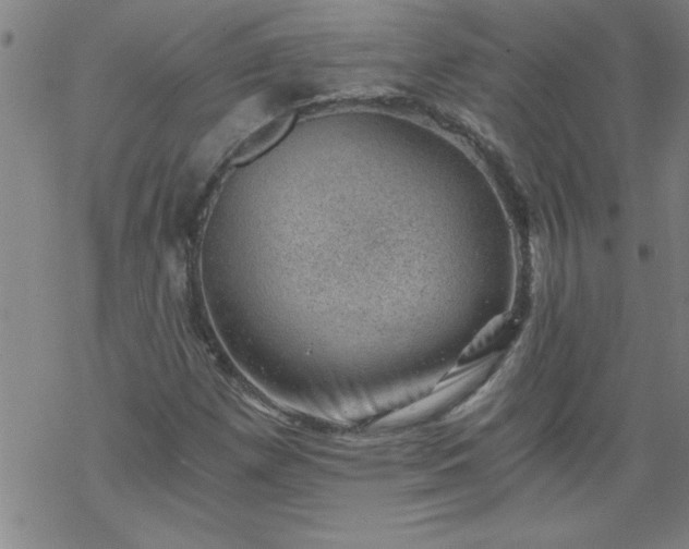 X0000068901257200605122051