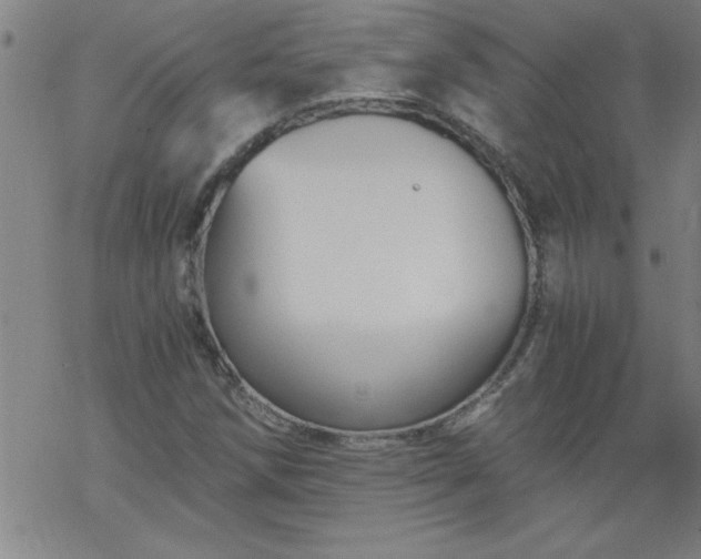 X0000068901258200605122051