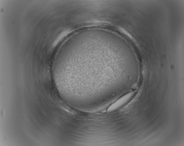 X0000068901259200605122051