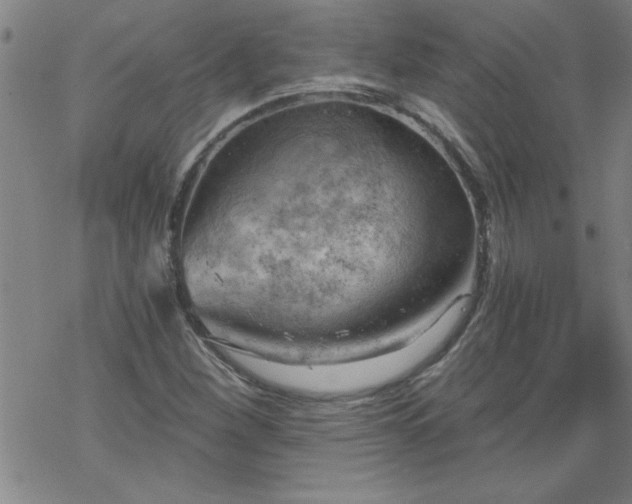 X0000068901260200605122051