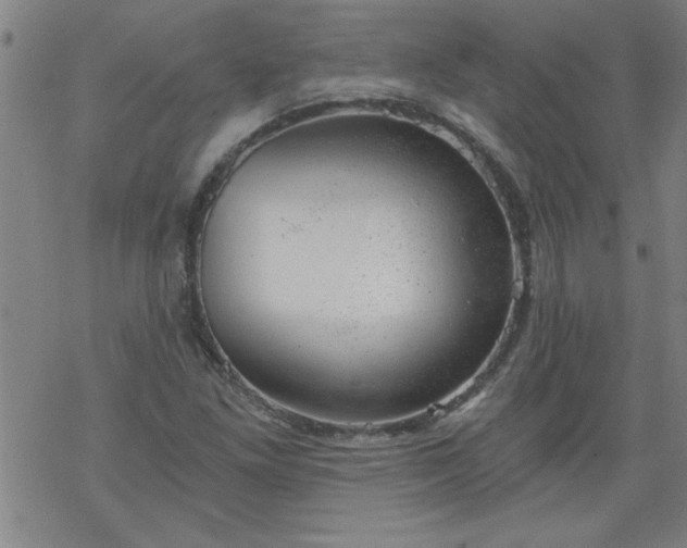 X0000068901261200605122051