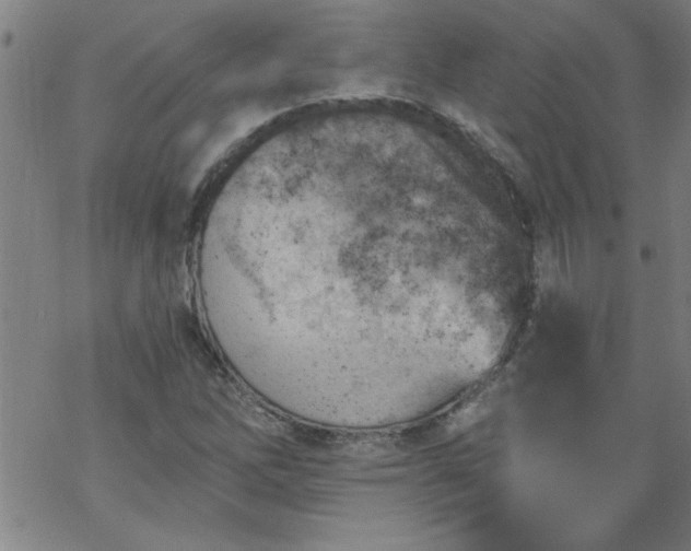 X0000068901262200605122051