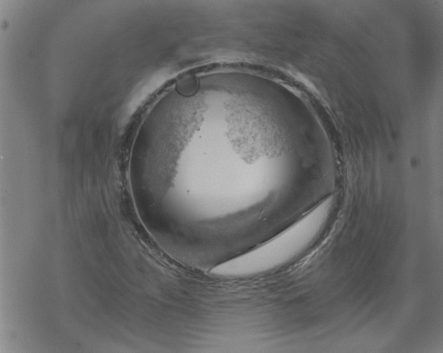 X0000068901263200605122051