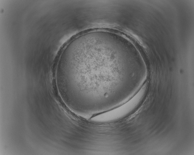 X0000068901264200605122051