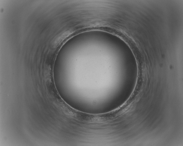 X0000068901265200605122051