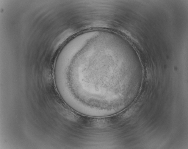 X0000068901266200605122051