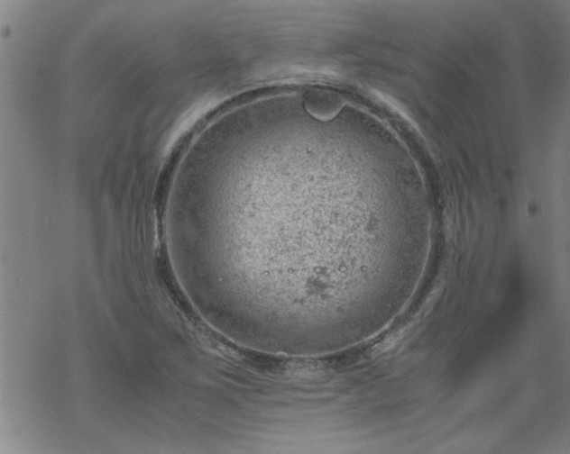 X0000068901267200605122051