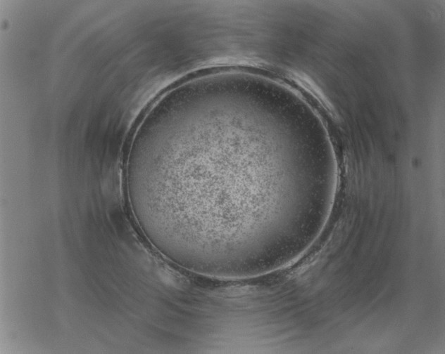 X0000068901268200605122051