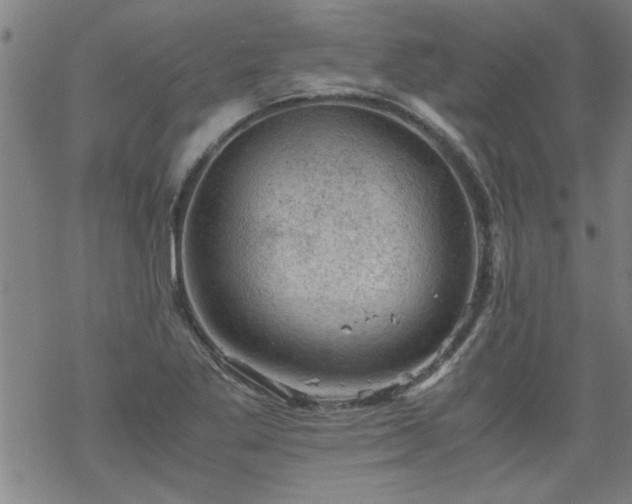 X0000068901269200605122051