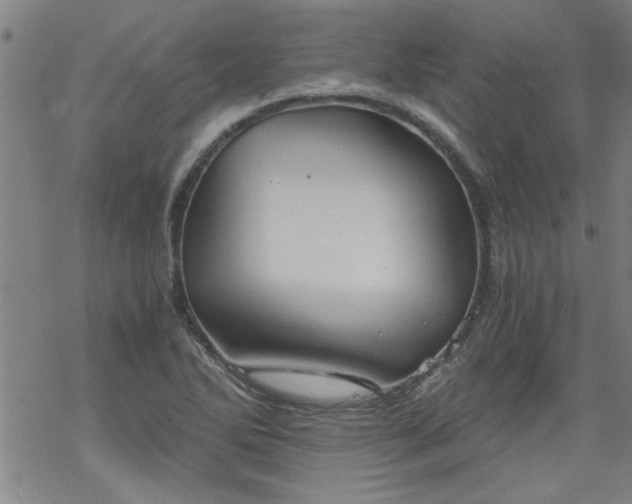 X0000068901270200605122051