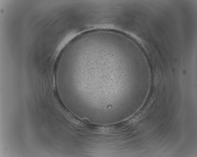 X0000068901271200605122051