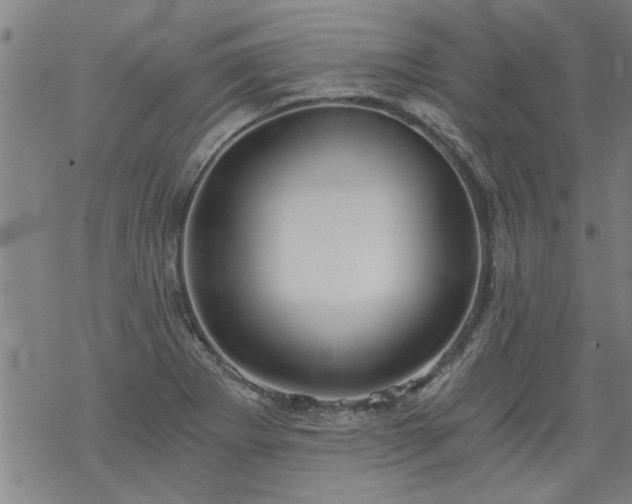 X0000068901273200605122051