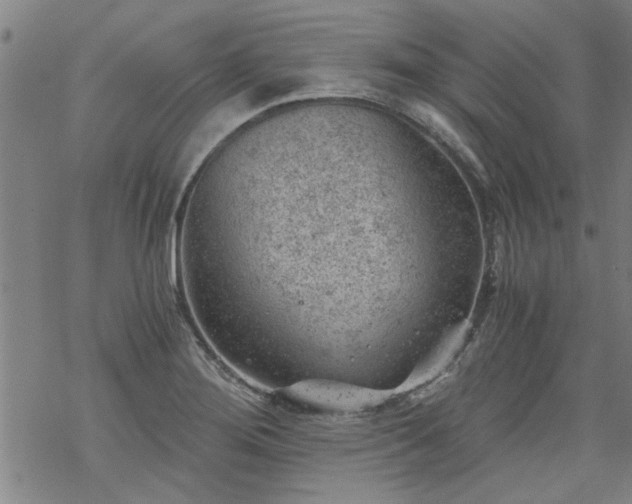 X0000068901276200605122051