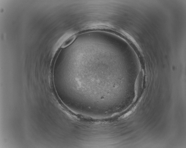 X0000068901277200605122050