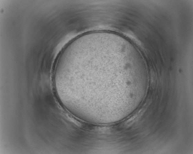 X0000068901278200605122050