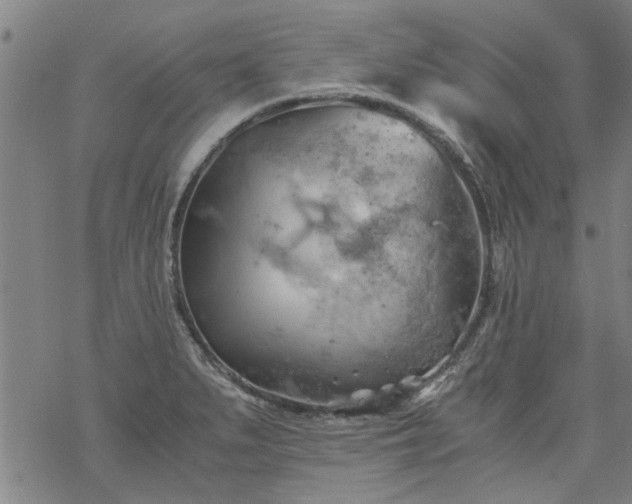 X0000068901279200605122050