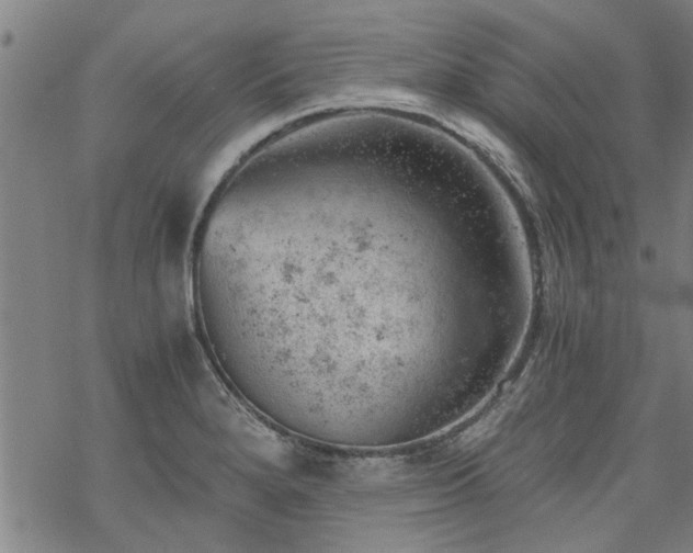 X0000068901280200605122050