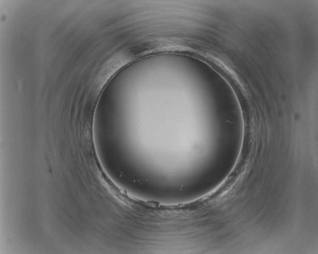 X0000068901281200605122050